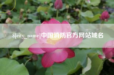 龙海中国消防官方网站域名