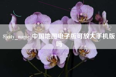 龙海中国地图电子版可放大手机版吗