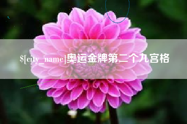 龙海奥运金牌第二个九宫格