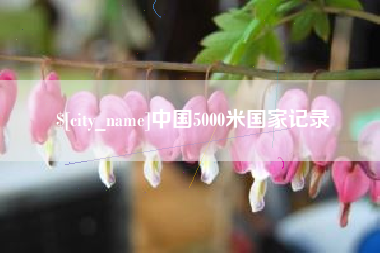 龙海中国5000米国家记录