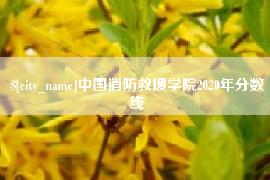 龙海中国消防救援学院2020年分数线