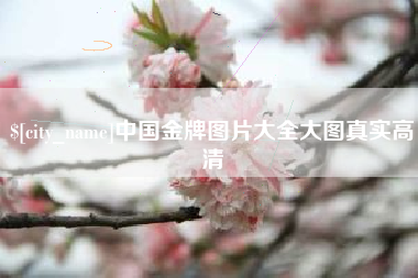 龙海中国金牌图片大全大图真实高清