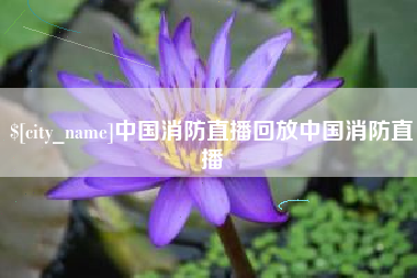 龙海中国消防直播回放中国消防直播