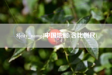 龙海中国地图(含比例尺)
