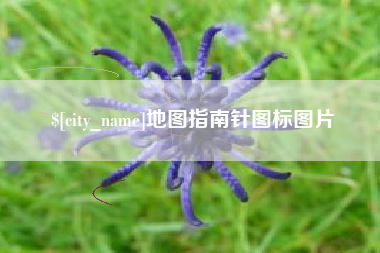 龙海地图指南针图标图片