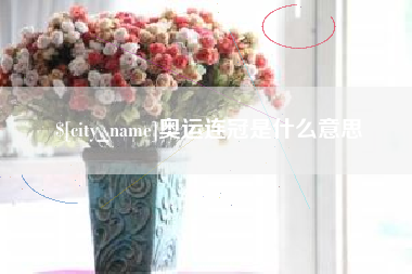 龙海奥运连冠是什么意思