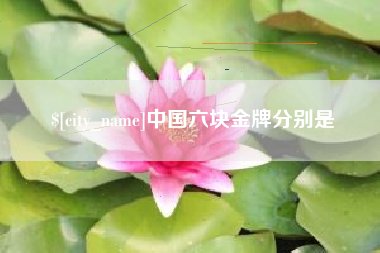 龙海中国六块金牌分别是