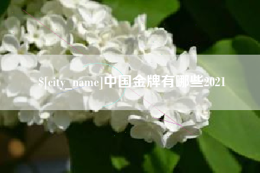 龙海中国金牌有哪些2021
