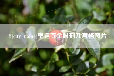 龙海奥运夺金时刻九宫格图片