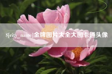 龙海金牌图片大全大图卡通头像
