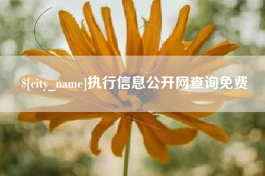 龙海执行信息公开网查询免费