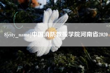 龙海中国消防救援学院河南省2020